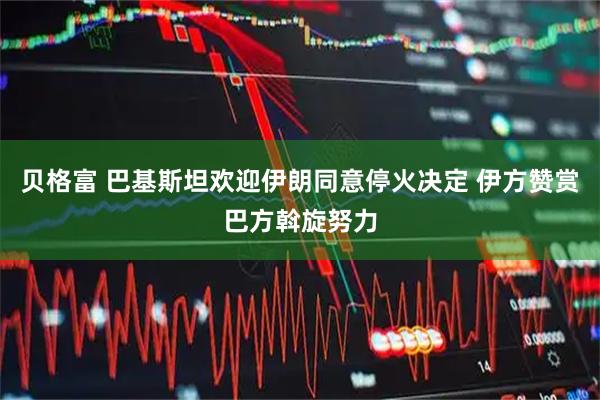 贝格富 巴基斯坦欢迎伊朗同意停火决定 伊方赞赏巴方斡旋努力